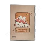 دفترنقاشی 60برگ مجلدفنری پیتیکو PITICO-379 - Image 3
