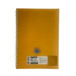 دفترنقاشی60رگ طلقی فنری پاپکو PAPCO NB-634P03 - Image 2